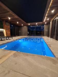 Superbe Chalet avec piscine secteur Gérardmer à Liézey